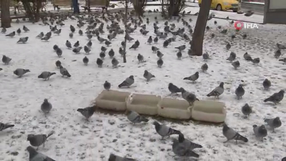 Başkent’te kar yağışı