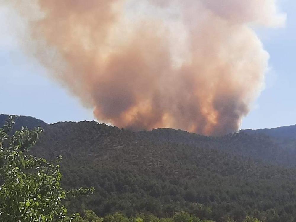 Başkent’te ormanlık alanda yangın