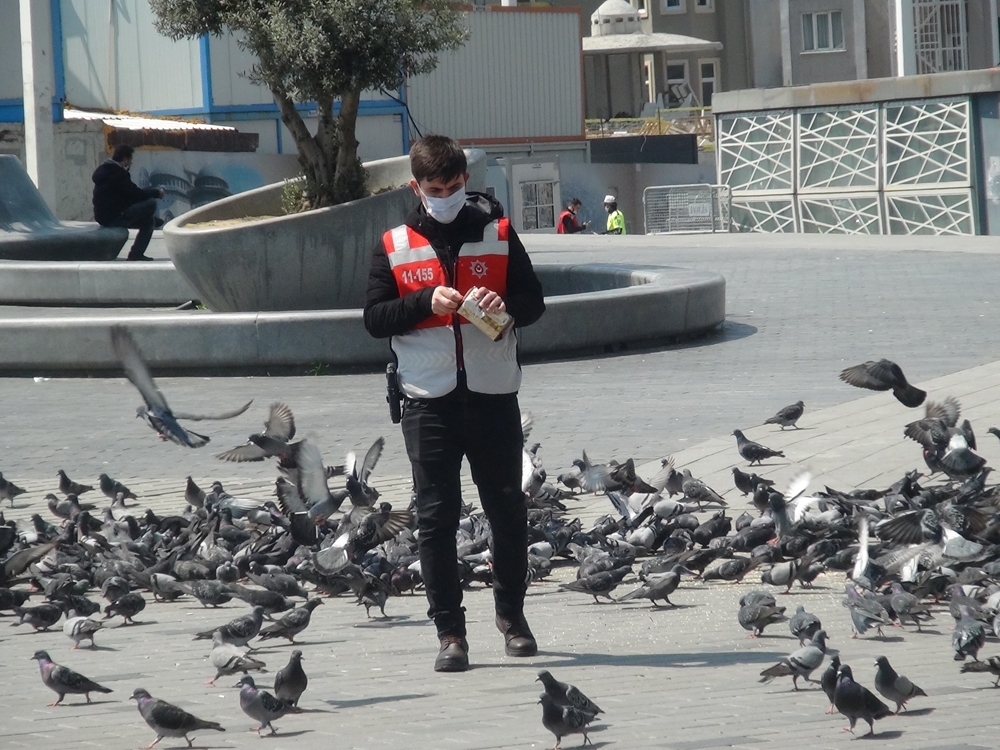 Belediye görevlisi Taksim Meydanı’nda aç kalan güvercinleri unutmadı