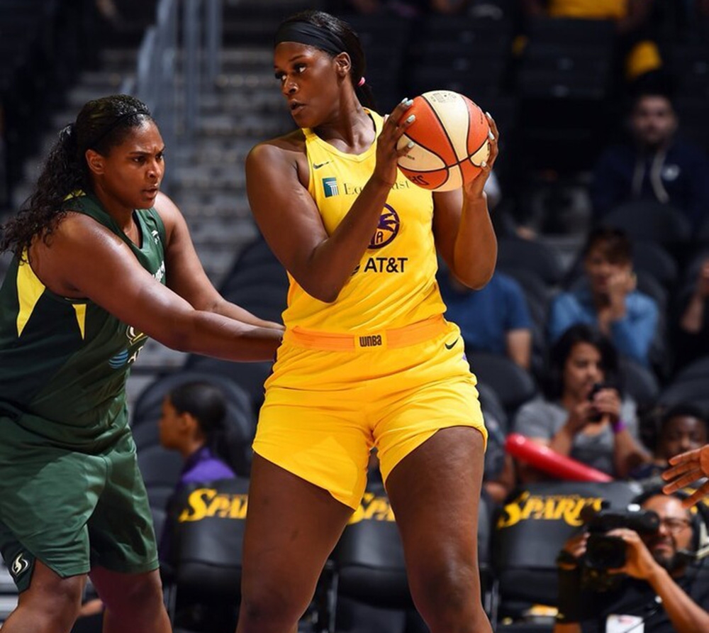 Bellona Kayseri Basketbol Brown’u bekliyor