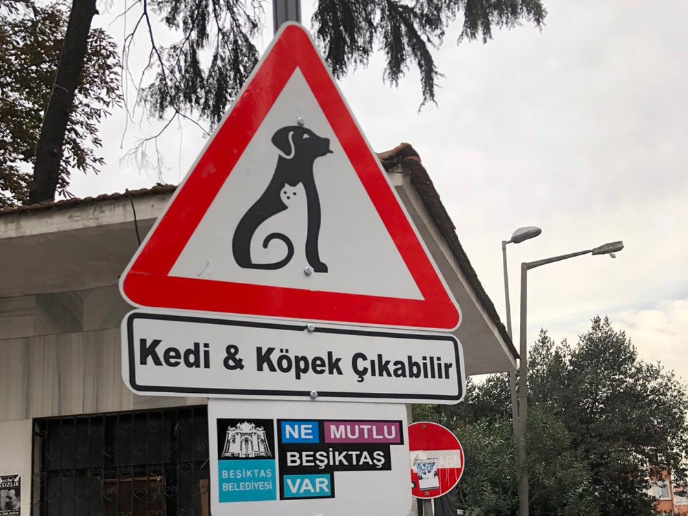 Beşiktaşın Sokaklarında ‘Kedi Ve Köpek Çıkabilir Farkındalığı