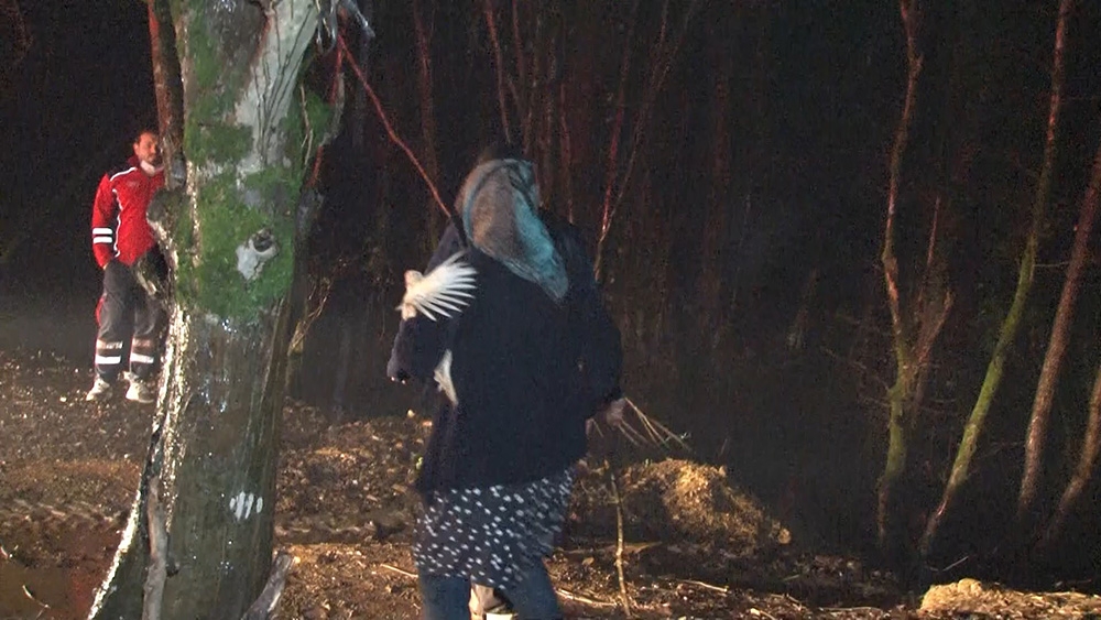 Beykoz’da mandırada yangın çıktı, hayvanlar telef oldu