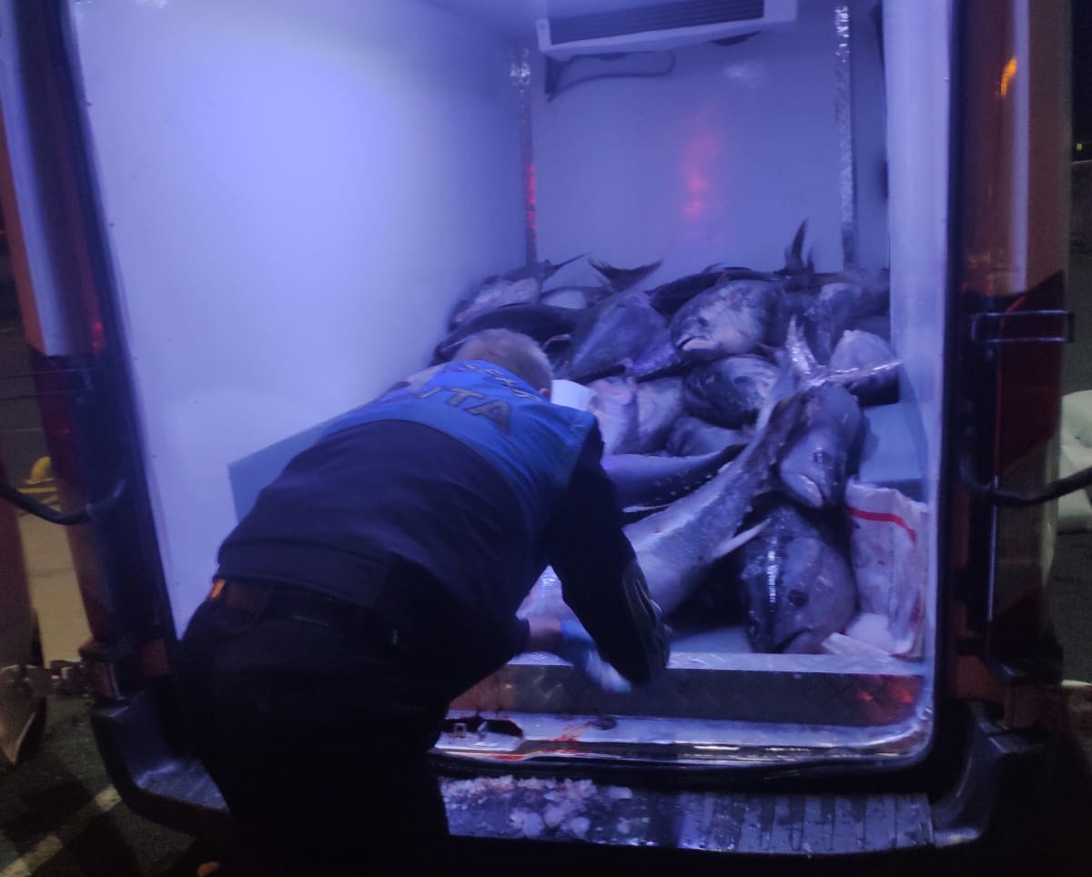 Beylikdüzü’nde avlanması özel izne tabi olan 2,5 ton orkinosa ele konuldu