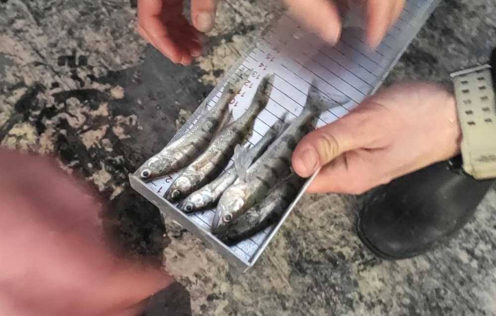 Beyşehir Gölü’nde avcılara denetim