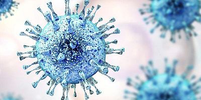 Bilim insanları binlerce yıllık buzda 28 yeni virüs keşfetti