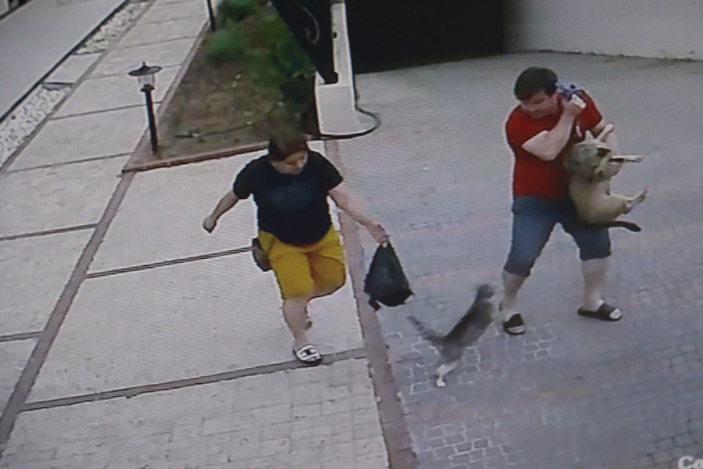 Bir anda ortaya çıktı, köpekli çifte dünyayı dar etti