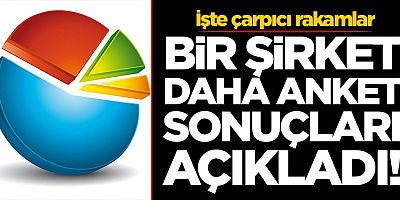 Bir şirket daha anket sonuçlarını açıkladı! İşte çarpıcı rakamlar