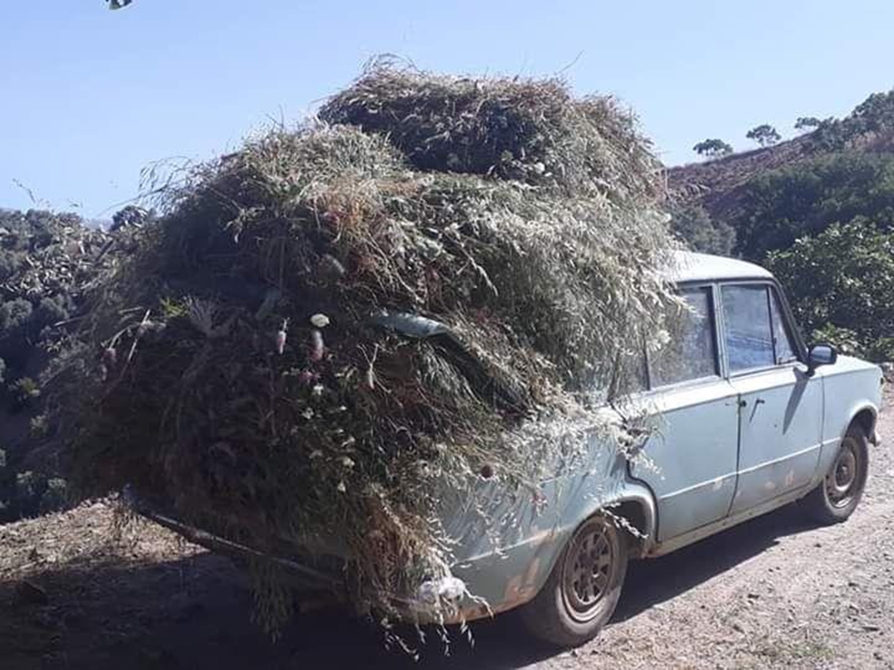 Bir zamanlar makam arabasıydı şimdi köylülerin eli ayağı oldu