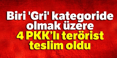 “Biri Gri Kategoride Olmak Üzere 4 Pkklı Terörist Teslim Oldu”