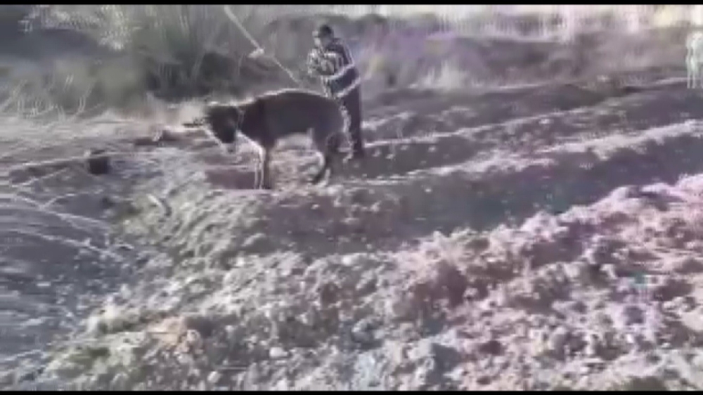 Biri işkence yaptı, diğeri kameraya aldı
