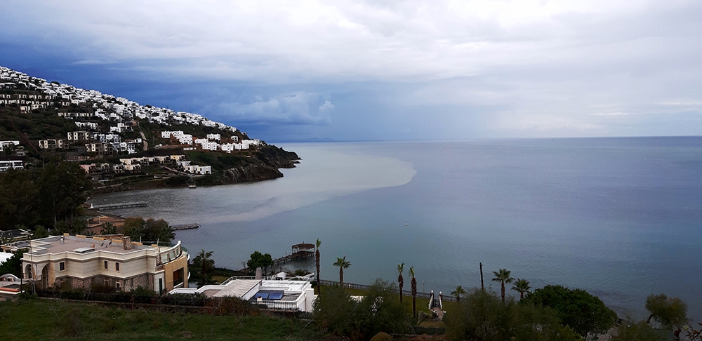 Bodrum’da denizin rengi kahverengiye dönüştü
