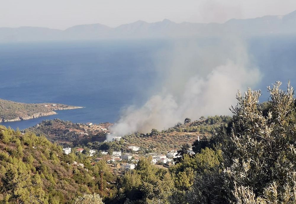 Bodrum’da orman yangını