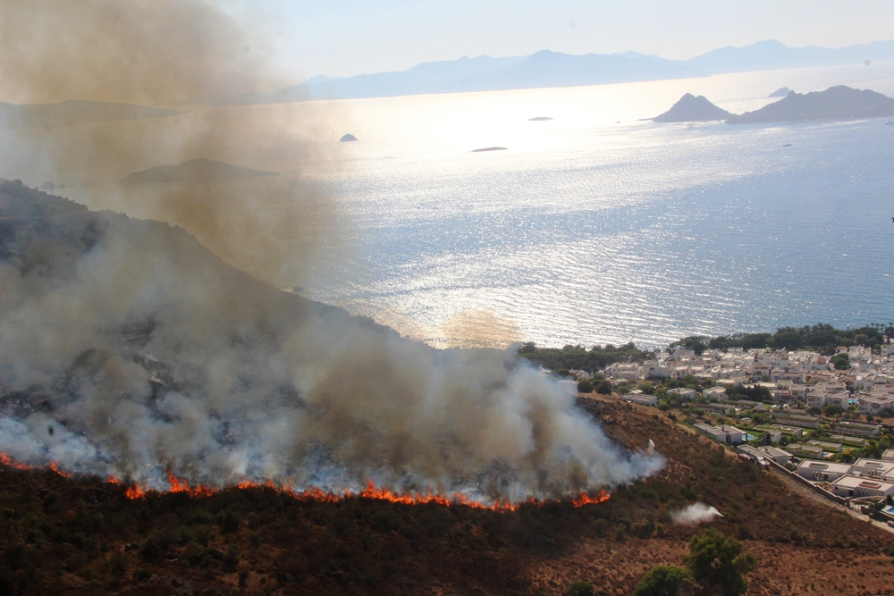 Bodrum’daki yangın 4 saatte kontrol altına alındı