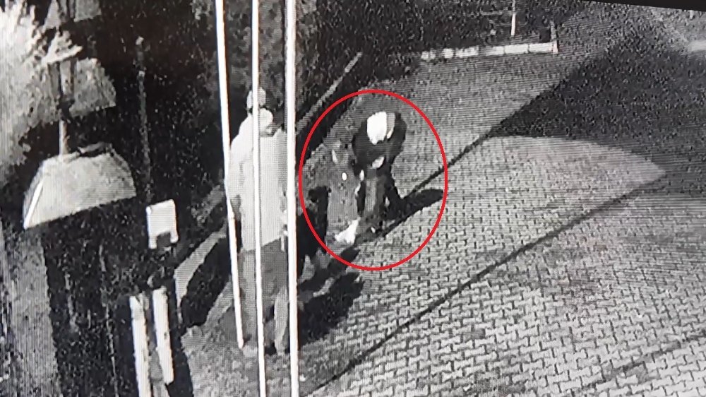 Boğulma Tehlikesi Geçiren Köpeği Kalp Masajı Kurtardı