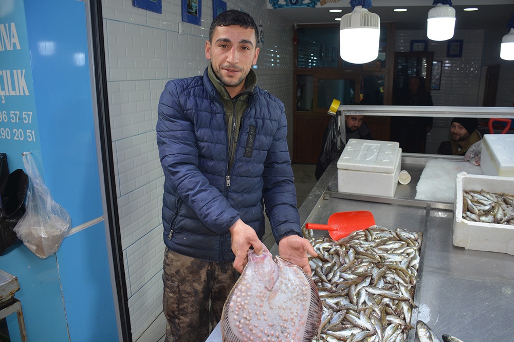 Bu kalkan balığının fiyatı 585 TL