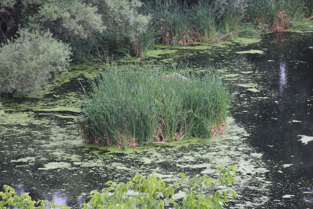 Bu köy doğa harikası gölüyle dikkat çekiyor