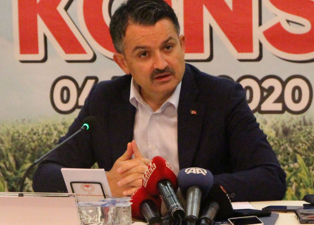 “Bu musibet bir hayır da getirdi; paramız ülkemizde kaldı şuan çayın kalitesi arttı”