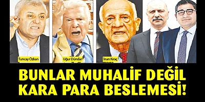 Bunlar muhalif değil besleme medya çıktı
