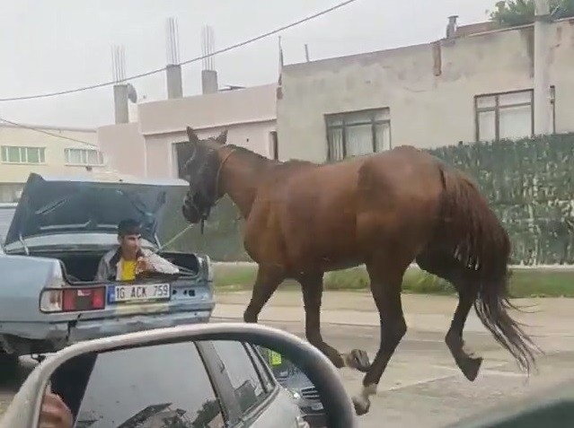 Bursa’da aracın arkasına at bağlayıp çevre yolunda koşturdu