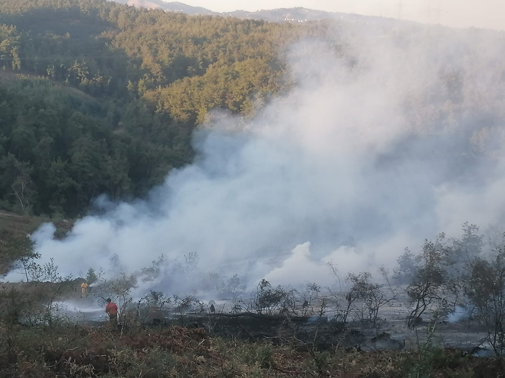 Bursa’da orman yangını kontrol altına alındı