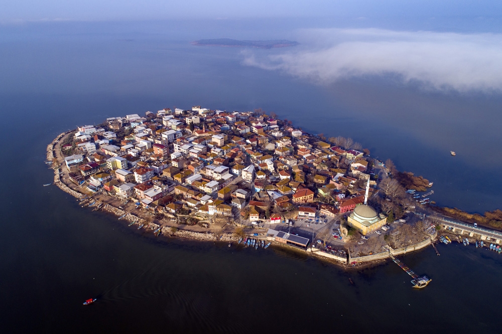 Bursa’daki su kuşlarının sayımı yapıldı