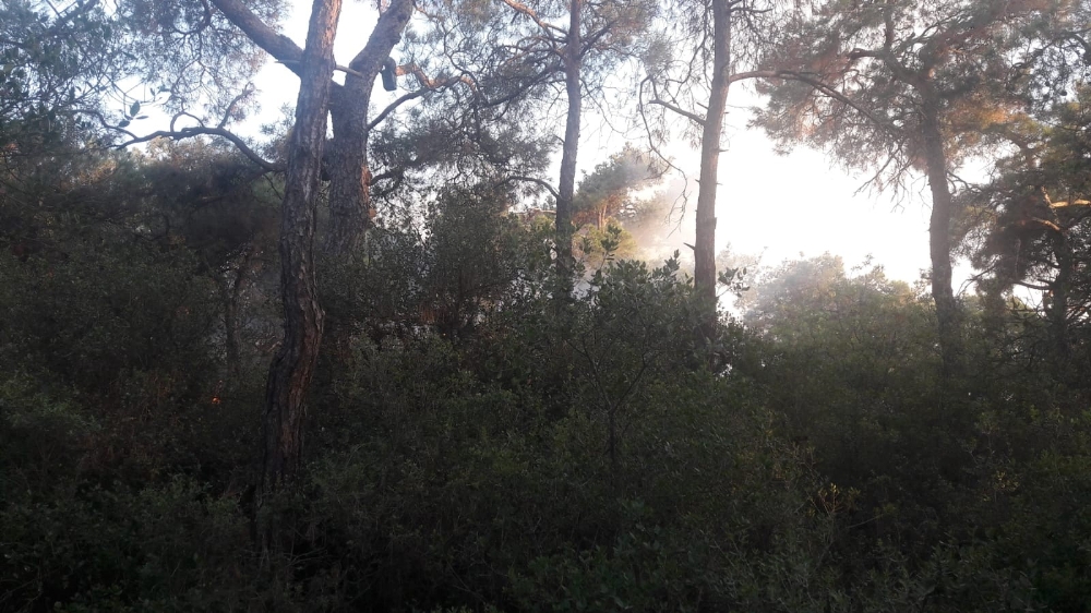 Büyükada’daki orman yangını kontrol altına alındı