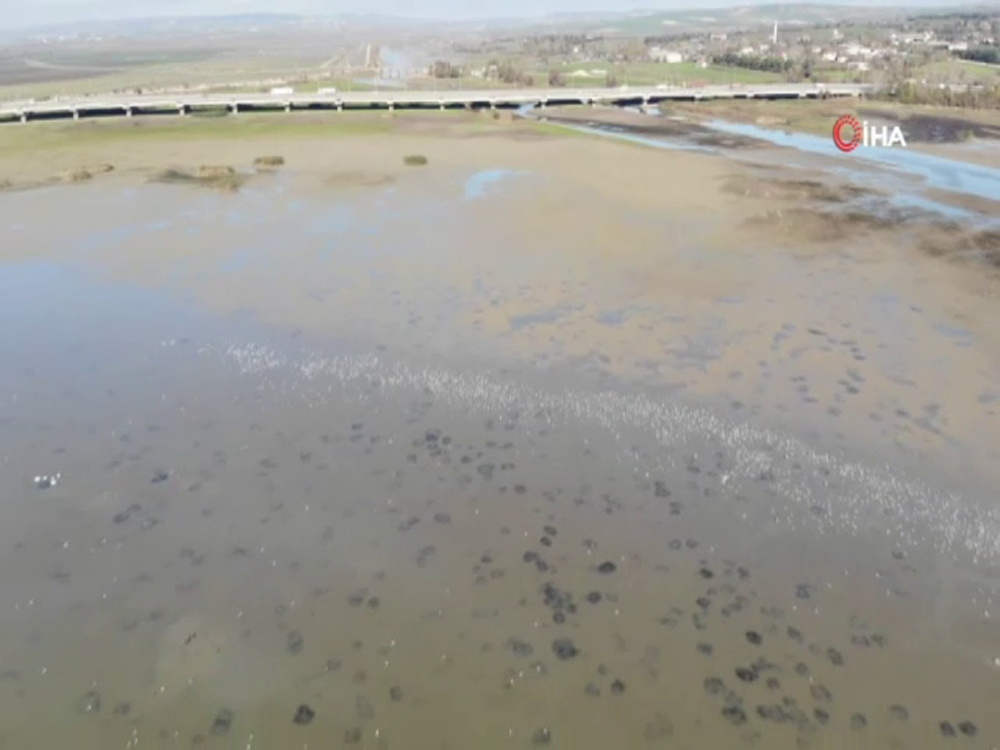 Büyükçekmece Gölünde Sular Çekildi, Balçıklar Ortaya Çıktı