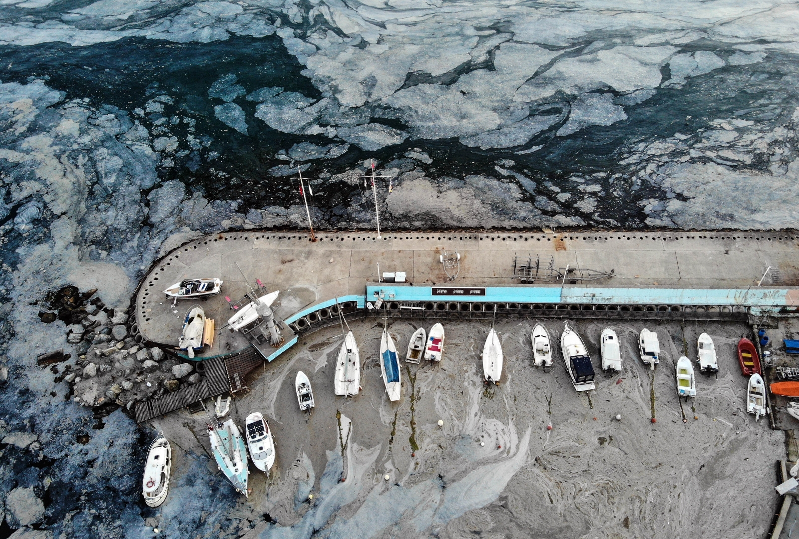 Caddebostan Sahili müsilaj istilası altında