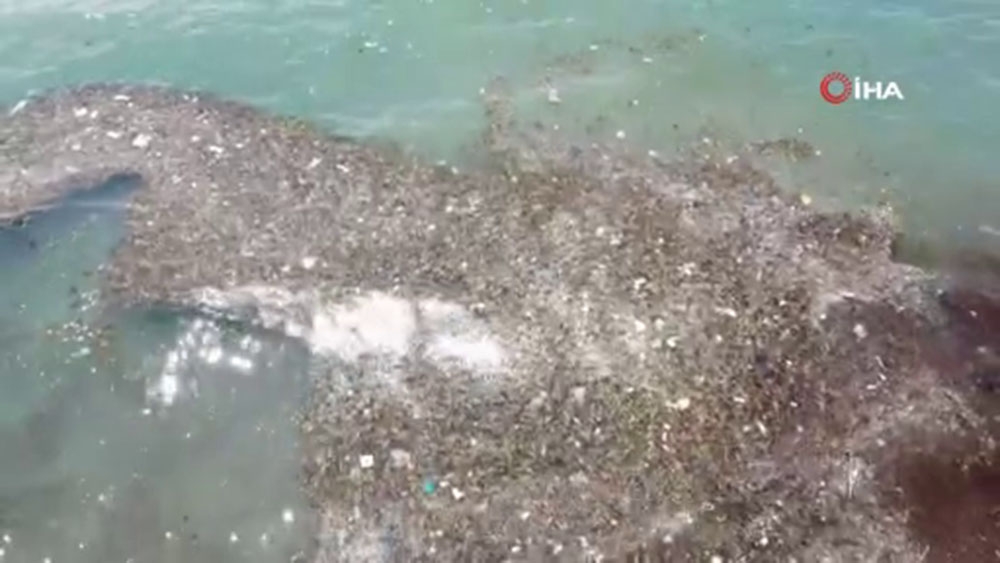Caddebostan Sahili’nde oluşan çöpler havadan görüntülendi