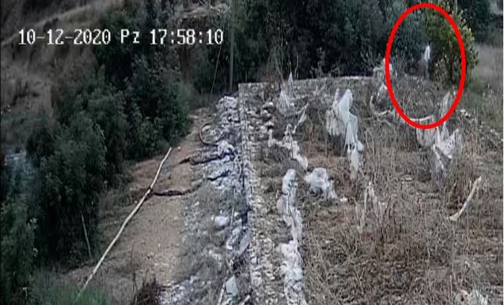 Çaldıkları avokadoları manava satmaya çalışırken yakalandılar