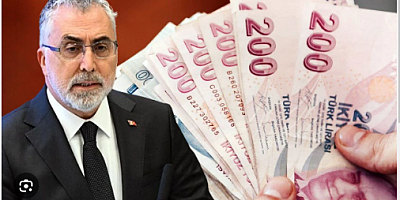  Çalışan anneye 11 bin lira destek ödemesi! Detayları ve süreci Işıkhan anlattı