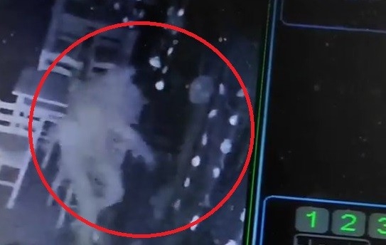 Cam kapıya çarpan vatandaşın o ânları güvenlik kamerasına yansıdı