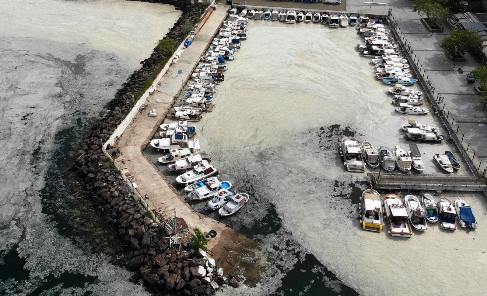 Çanakkale Boğazı deniz salyası ile kaplandı