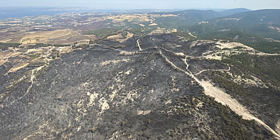 Çanakkale’deki orman yangınlarında 5 bin 712 futbol sahası büyüklüğünde alan yandı