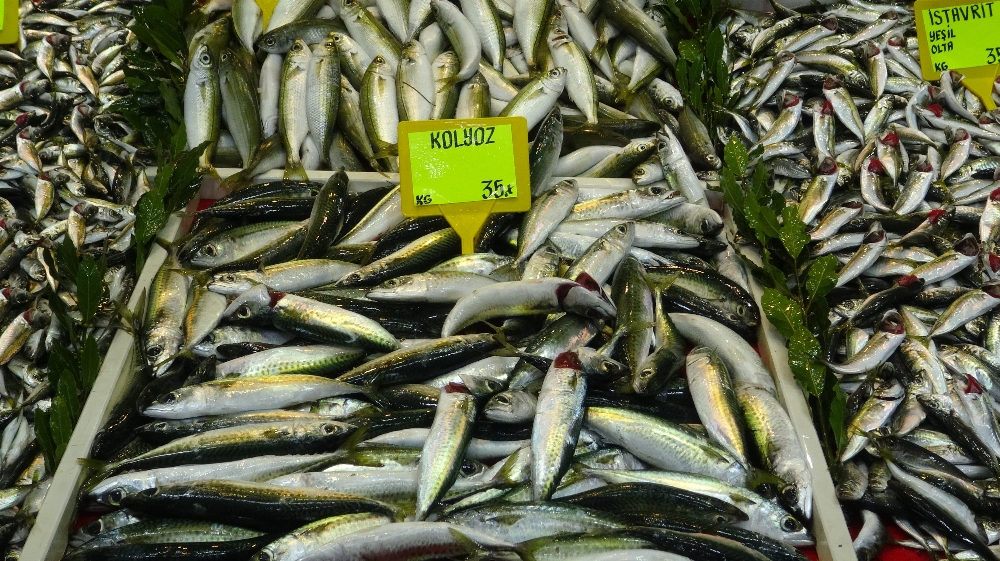 Çanakkale’de hamsi fiyatları 45 lira oldu
