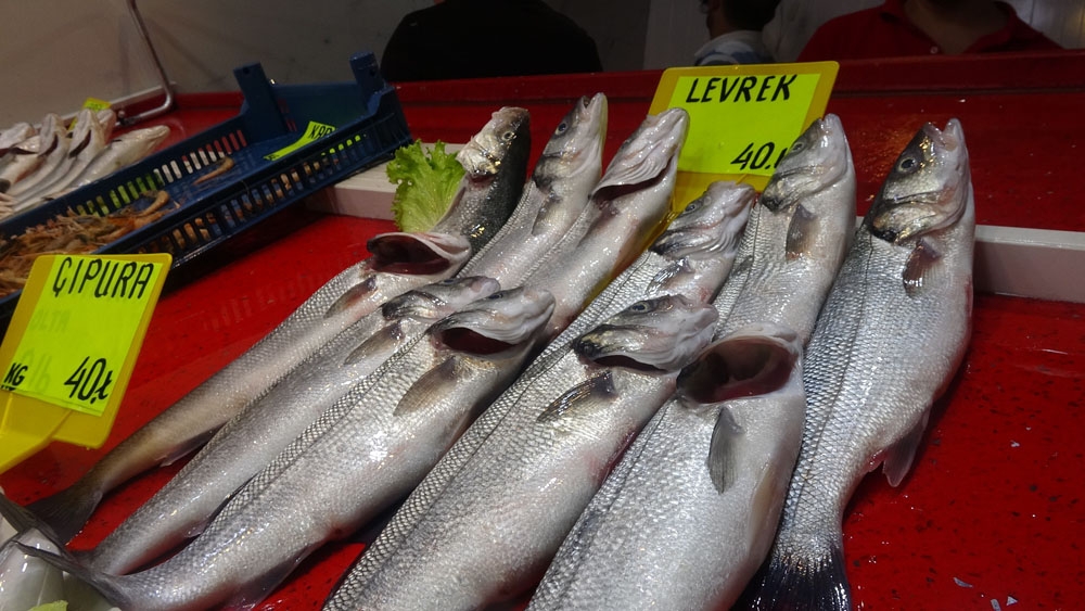 Çanakkale’de sardalya yağlandı, vatandaş bayram etti