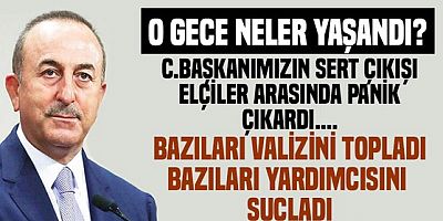 Çavuşoğlu : Cumhurbaşkanımızın sözleri duyan elçiler arasında panik çıktı