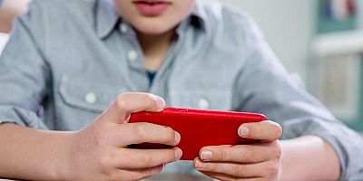 Çevrimiçi oyun platformu Roblox mahkeme kararıyla erişime kapatıldı