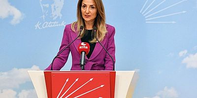 CHP’li Aylin Nazlıaka : İktidarımızda ilkokulda cinsel eşitliği ders yapacağız