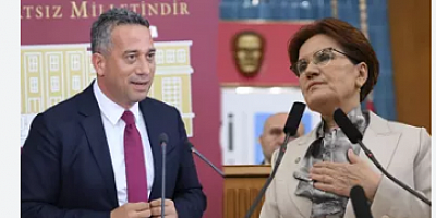 CHP'li Başarır'dan Akşener'e 'yerel seçim' çağrısı: Bari belediyelerimizi koruyalım!