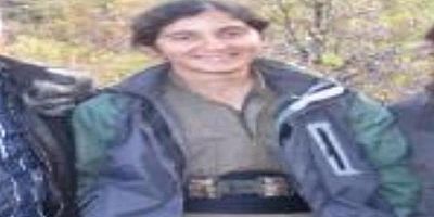 CHP'li meclis üyesi kızını PKK'ya teslim etmiş