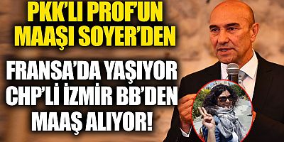 CHP'li Soyer Fransa'da yaşayan HDPKK'lı akademisyeni maaşa bağladı