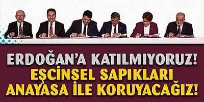CHP'li Yunus Emre: Cumhurbaşkanının LGBT açıklamasını desteklemiyoruz