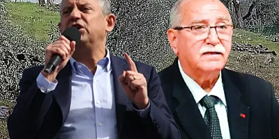  CHP'nin ağaç katliamında hülle taktiği çıktı! Milas'ta rant rezaleti...