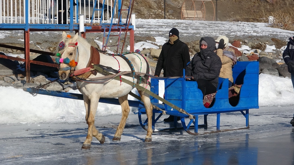 Çıldır Gölü’nde atlı kızak sezonu başladı