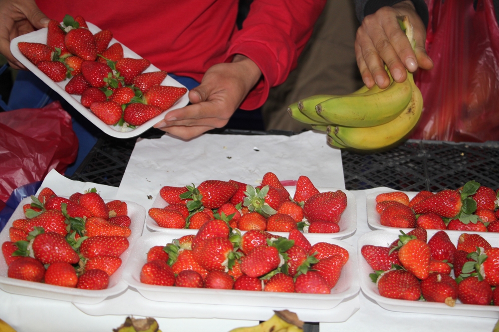 Çilek, kilosu 30 liradan pazara giriş yaptı