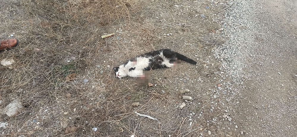 Çorum’da kahreden görüntü