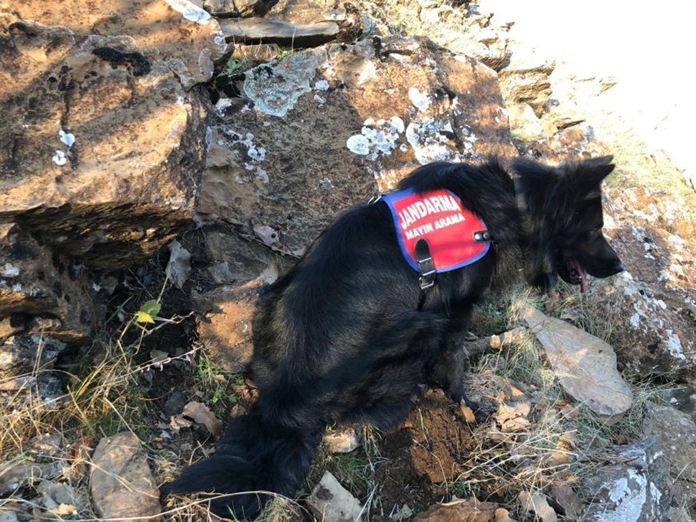 Çukurcada Eyp Ve Mühimmat Ele Geçirildi