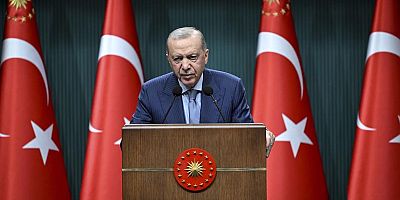 Cumhurbaşkan Erdoğan: Orman yangınlarında  31 kişi gözaltına alındı