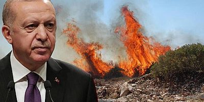 Cumhurbaşkanı  Erdoğan'dan yangınlarla ilgili açıklama..